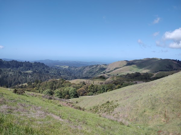 Russian Ridge Open Space Preserve 5