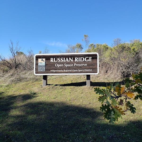 Russian Ridge Open Space Preserve 4