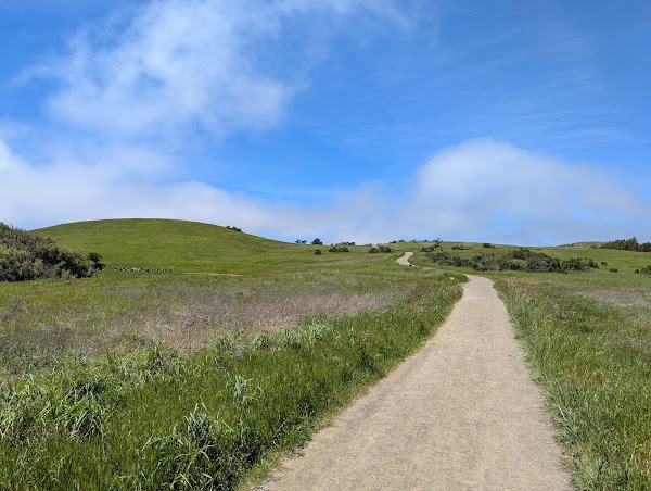 Russian Ridge Open Space Preserve 3