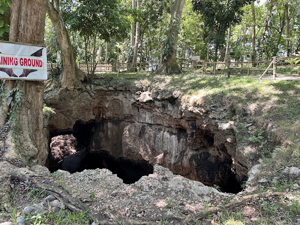 Monfort Bat Sanctuary