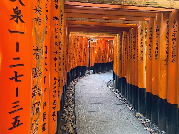 Mount Inari 5