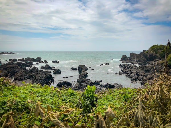 Dorippal Coast 1