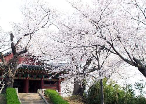 Geochang Deokcheon Seowon 5