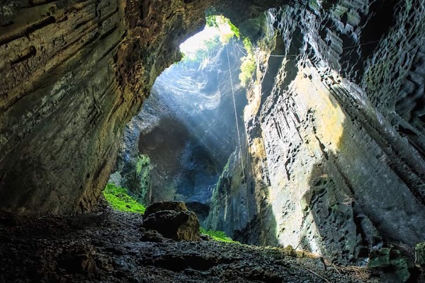 Cave of Swallows 2