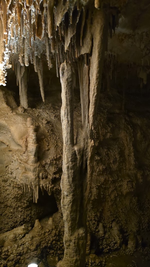 Lehman Caves 1