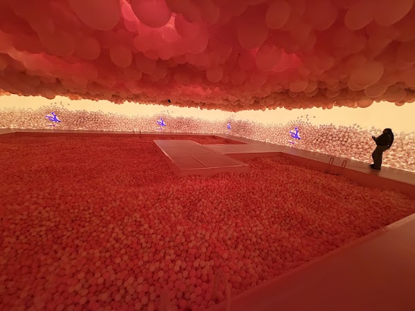 Balloon Museum | EmotionAir Chicago 3