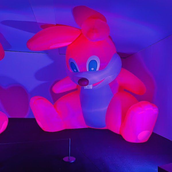 Balloon Museum | EmotionAir Chicago 2