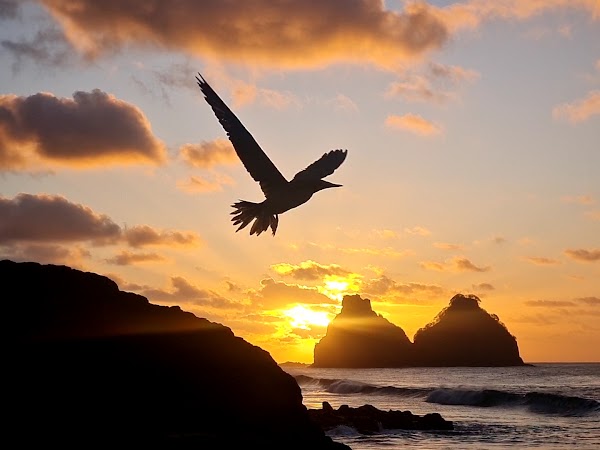 Fernando de Noronha 2
