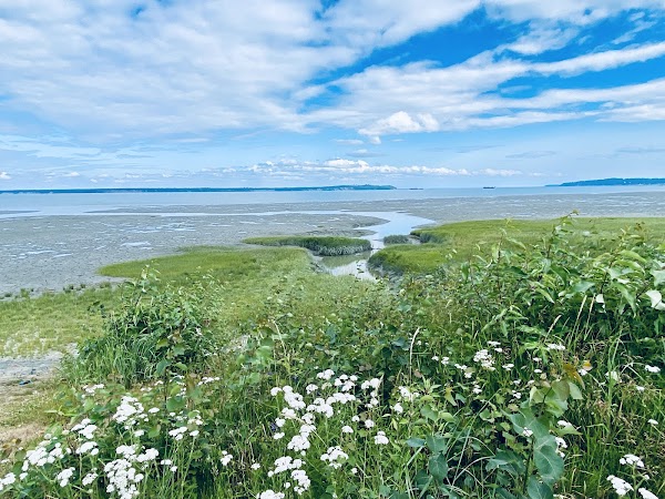 Tony Knowles Coastal Trail 3