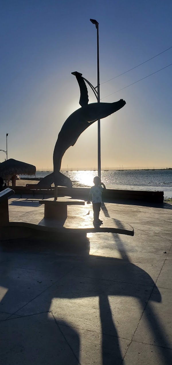 La Paz 4
