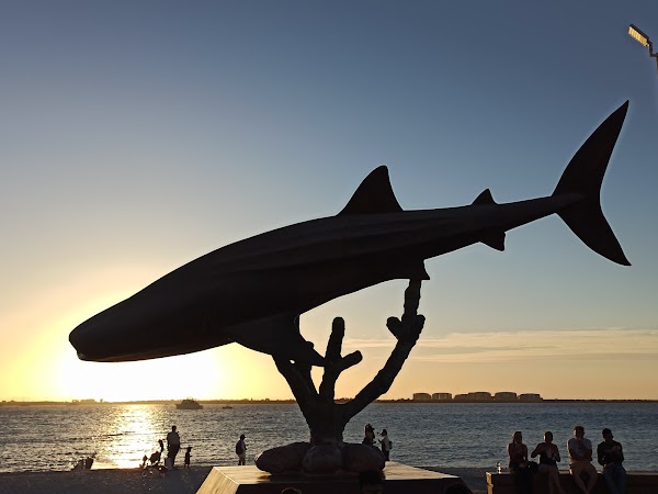La Paz 3