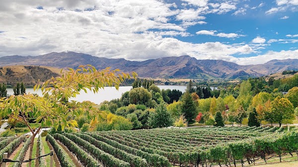 Nockies Palette & Stoneridge Cellar Door 2