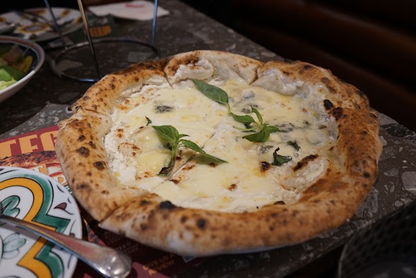 Bottega 4