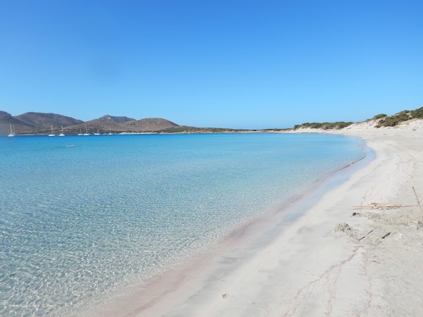Porto Zafferano 1