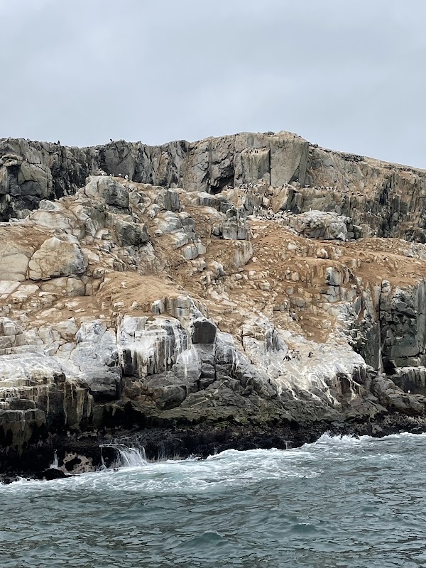 Islas Palomino