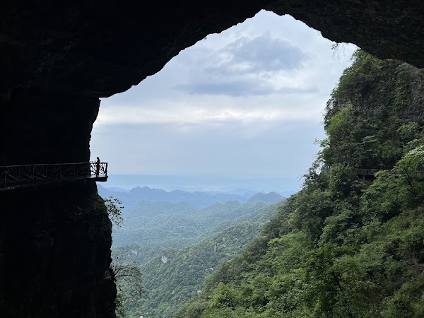 金佛山
