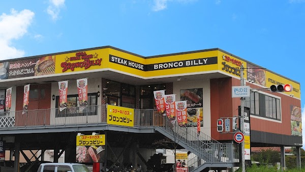 Bronco Billy