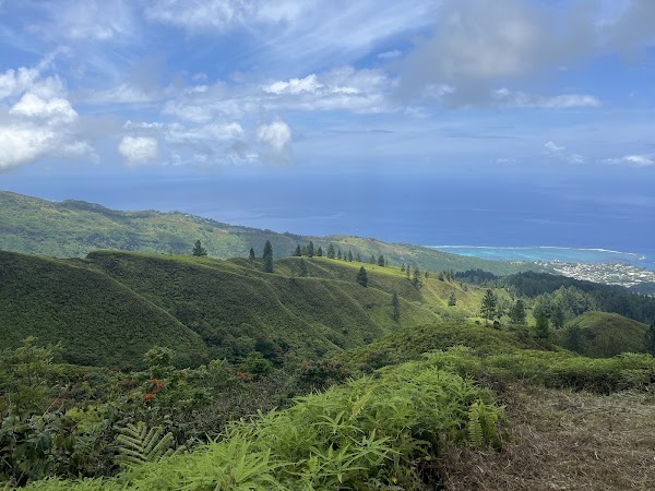 Plateau vaitavere 1
