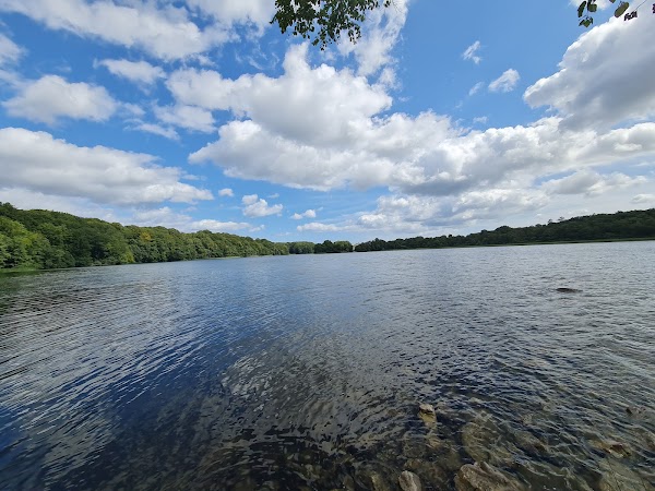 Gyllebo sjö 5