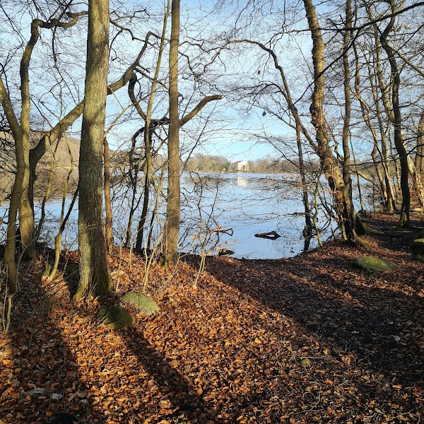 Gyllebo sjö 4