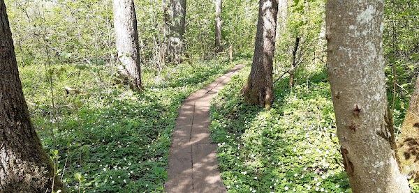 Gyllebo sjö 3