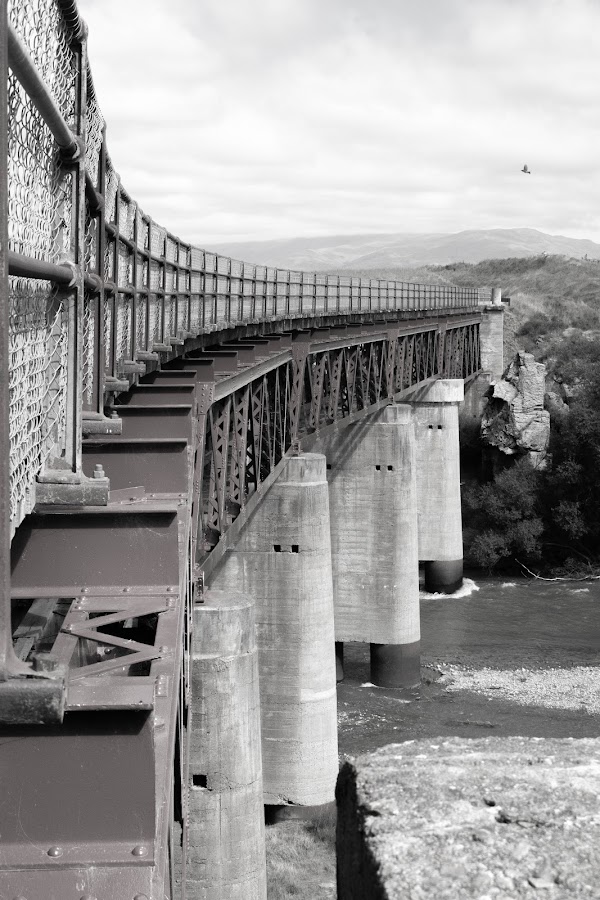 Otago Central Rail Trail 1