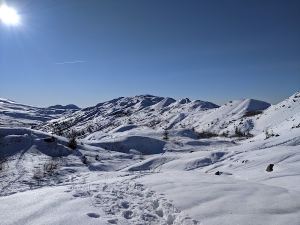 Harry's Ridge 2