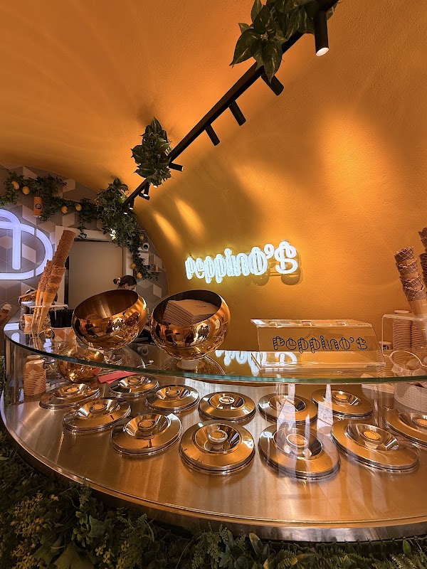 Peppino's Gelato Garden 4