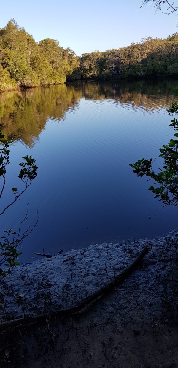 Mooball Creek