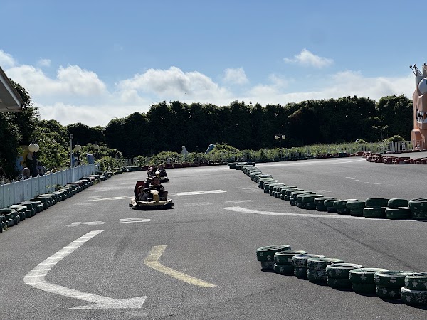 Alive Kart 1