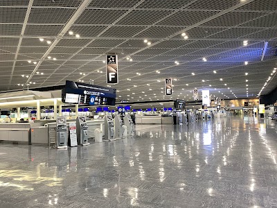 Narita International Airport 1