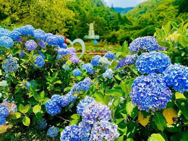 杉林溪森林遊樂園 4