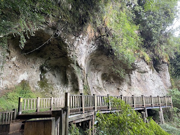 杉林溪森林遊樂園 3