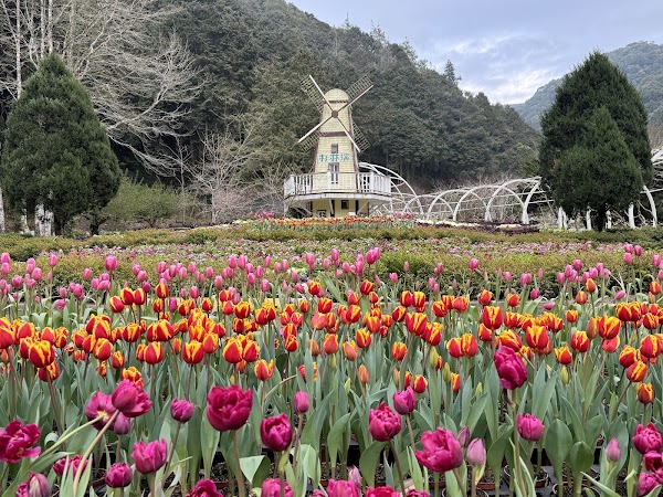 杉林溪森林遊樂園 2
