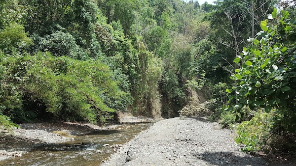 Puerto Jiménez