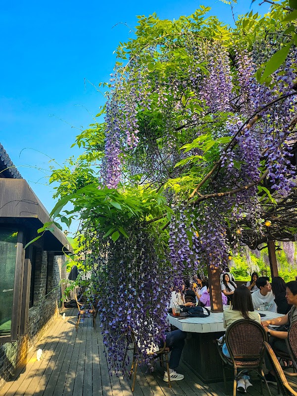 Wisteria Cafe 3