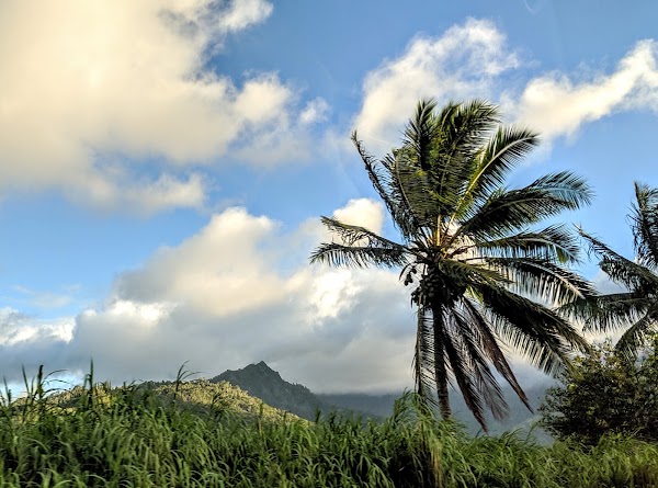 Hanalei 5