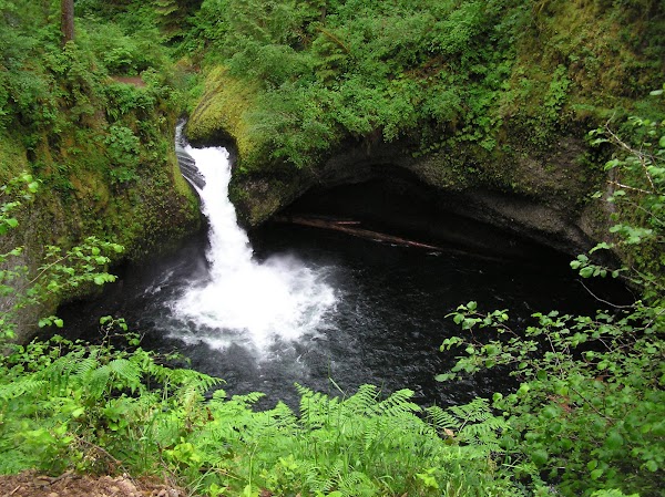 Punch Bowl Falls