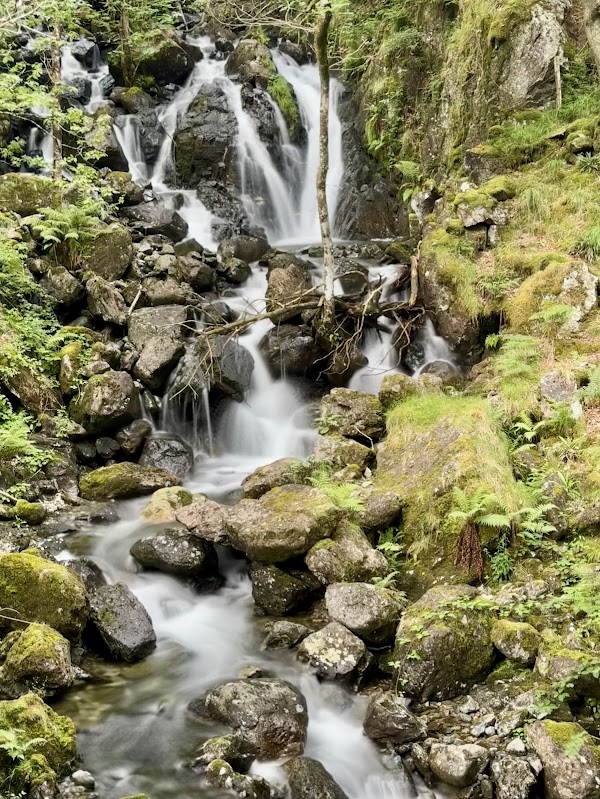 Penygader 4