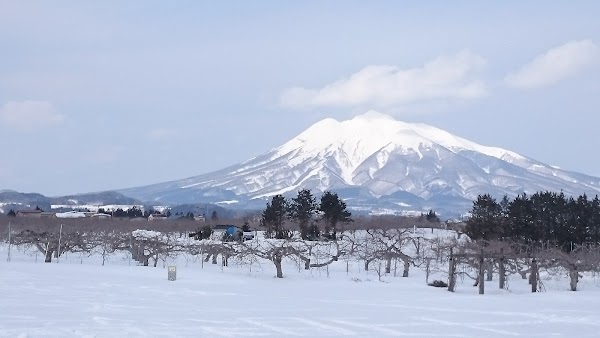 Hirosaki Castle 5