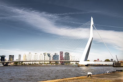 Erasmusbrug