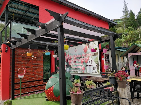 Mesilou Highland Strawberry Farm 2