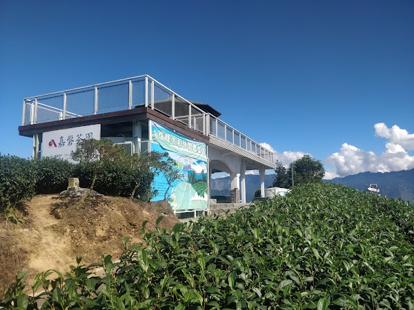 1314 Lookout 1
