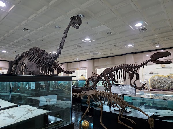 Gangwon Comprehensive Museum 5