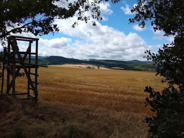 Eifel 5