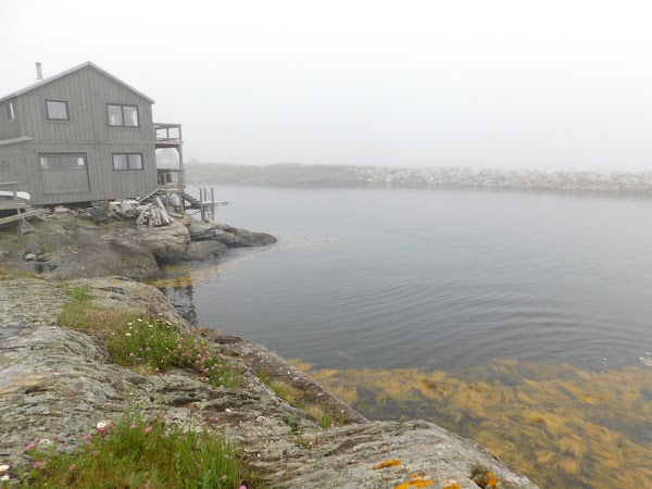 Blue Rocks 3
