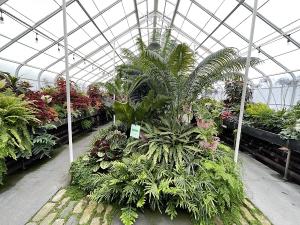 Volunteer Park Conservatory 4
