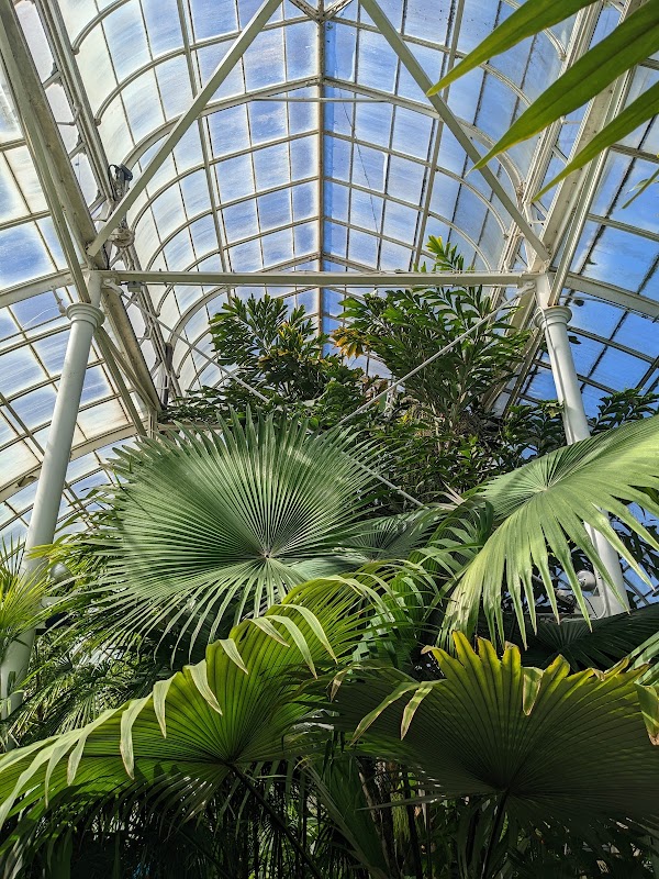 Volunteer Park Conservatory 3