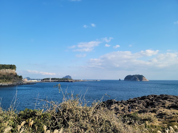 Jeju Olle Trail - Route 07 (Jeju Olle Tourist Center - Wolpyeong) 4
