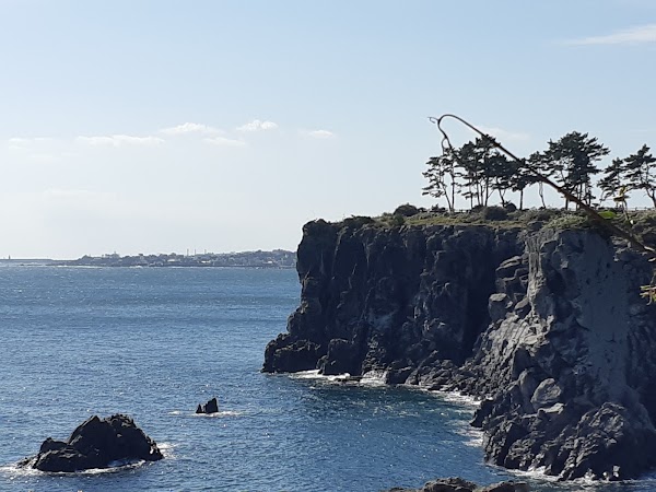 Jeju Olle Trail - Route 07 (Jeju Olle Tourist Center - Wolpyeong) 2